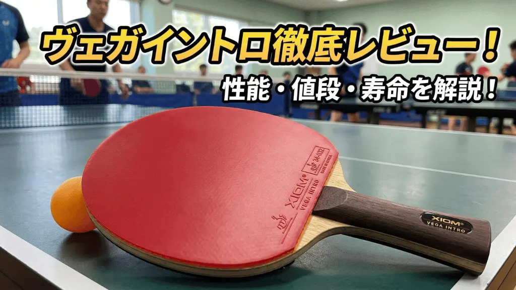 ヴェガ イントロ