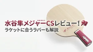 水谷隼 メジャー - CS