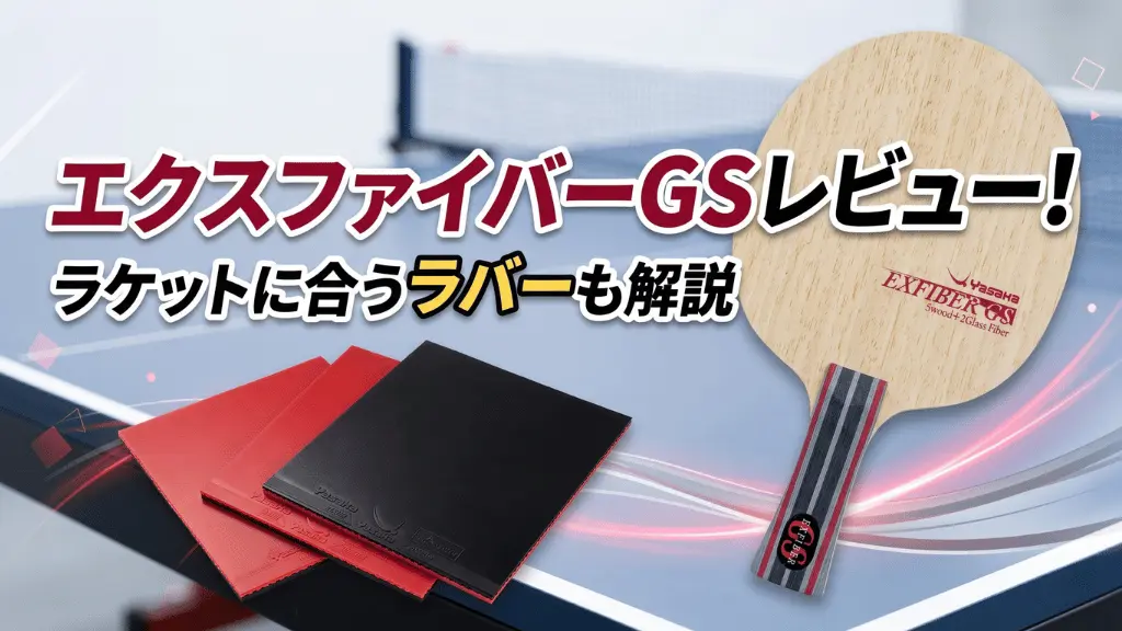 エクスファイバーGS