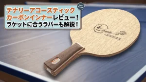 テナリーアコースティックカーボンインナー