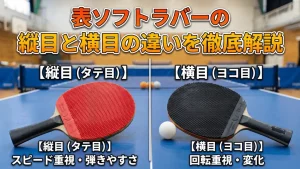 表ソフトラバーの縦目と横目の違いを徹底解説