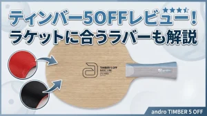 ティンバー5OFF