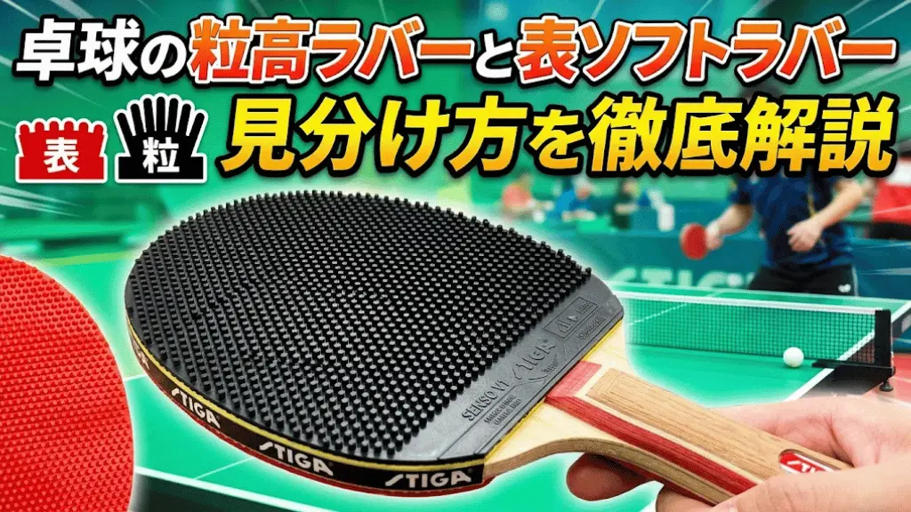 卓球の粒高ラバーと表ソフトラバーの見分け方を徹底解説!