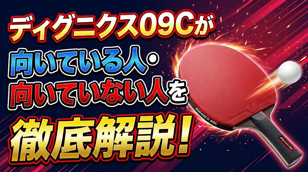 ディグニクス09Cが向いている人・向いていない人を徹底解説！