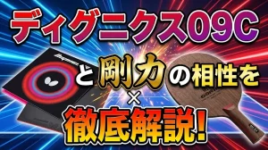 ディグニクス09Cと剛力の相性を徹底解説！